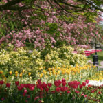 Valley Gardens park in the center of Harrogate