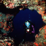 ESE Malta Adult School diving