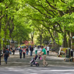 Central Park in New York City