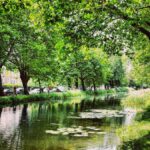 Dublin's Grand Canal near the Horner School of English