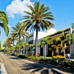 Rodeo Drive