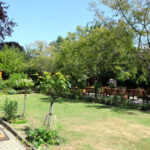 Wimbledon School of English garden